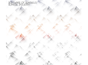 Software Seagulls: Sunrise Industry