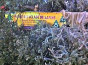 Christmas-tree Recycling Center, Paris