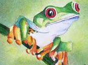 Tree Frog ACEO