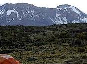 Adventurers Take Kilimanjaro Barefoot!