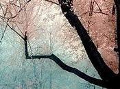 Pretty Things Sunday
