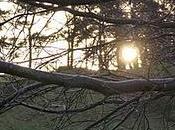 Guest Post: Depression Cancer...