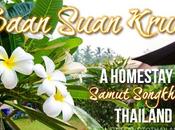 Baan Suan Krua, Homestay Samut Songkhram