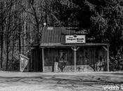 Sugar Bush Shop