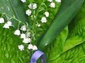 Happy Day, Especially Vagabonde