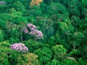 What Protect Biodiversity State Planet