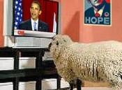 Hillary Clinton Viewed Even More Favorably Poll, Despite Scandals