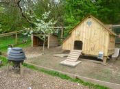 Chicken World Re-inventions