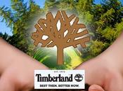 Pledge With Timberland Horqin Desert Reforestation Project