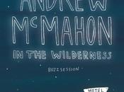 ANDREW McMAHON WILDNERNESS