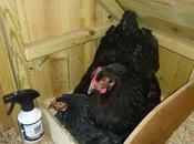 Sharing With Your Pals Keeping Yourself