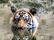 Book Review: Capturing Wildlife Moments India: Excellent Pictures Shot