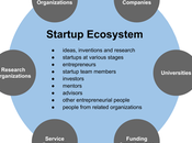 Find Best City Your Type Startup