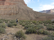 Grand Canyon: Tonto West Bass Trails