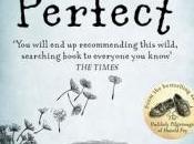 Book Review: Perfect Rachel Joyce