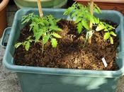 Just When Thought Winning...