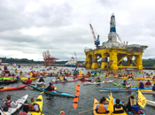 Irony Alert: Shell Protesters Damage West Seattle Dive Park Habitat