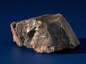 Moon Rock Given Holland Astronauts Armstrong Aldrin Fake