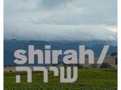 Brother’s Wonderful Wines Product On-The-Job Training