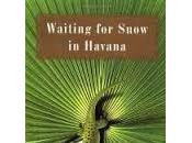 Waiting Snow Havana
