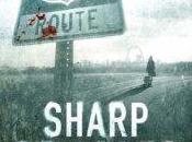 Book Review: Sharp Objects Gillian Flynn