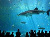 Lessons Entrepreneurs From Shark Tank