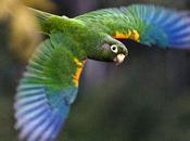 Fund Helps Groups Land Quickly Protect Threatened Wildlife