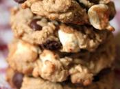 Vegan Chocolate Chip Marshmallow Oatmeal Cookies