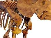 Adam Johnson Jerry Seinfeld's Complaints About Political Correctness: "Perspectives Those Annoyed 'Political Correctness' Overwhelmingly White, Male, Heteronormative"