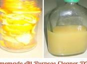 Wondering Make Purpose Cleaner Home? Read This!