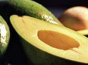 Avocados Hold Answer Beating Leukemia