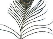 Bucky’s Bandcamp Bonanza Hootenanny Edition