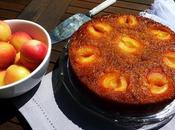 Apricot Upside Down Cake, Gorgeous Fruity Delight.