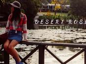 Desert Rose Coachella: Lace Ruffles Lookbook