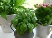 Cuttings, Days Forgotten Tips