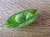 Like Peas