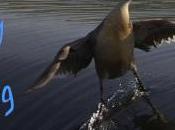 Sunday Surfing 5/7/15