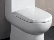 Best Water Efficient Toilets Showers