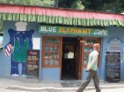 DAILY PHOTO: Blue Elephant Manali