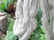 Hand Spun Gifted Wool