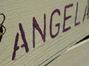 Upcycled Wooden Plant Trays Garden