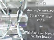 Sponsor Spotlight: Whiteflash Wins 2015 Pinnacle Award