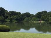Visit Rikugien Gardens, Tokyo