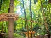 Tree Adventures Geoss Adventure Park Slovenia