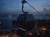 Bee-way into Sentosa!