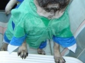 That Ridiculous Oprah Crop Thing