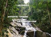 #KLDiaries: Waterfall Trekking Templer's Park