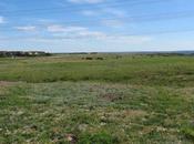 Fate Crowfoot Valley Prairie Colony