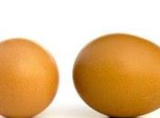 Catholic Institutions Still Fire Employees Marry, Mennonite Universities Announce They Will Hire Such