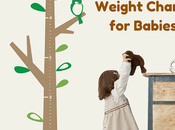 Standard Height Weight Chart Babies That Every Parent Should Know